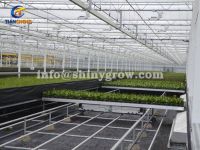 Stationary Metal Greenhouse Benches for Commercial Nursery