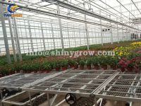 Greenhouse Rolling Benches for Efficient Greenhouse Operation