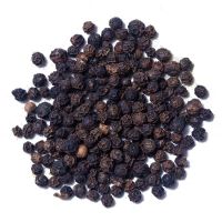 high level quality whole  black pepper 