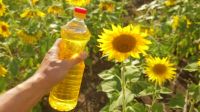 Wholesale High Qualitysunflower oil bulk,100% Pure refined sunflower oil