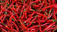 Fresh premium Thai Chilli, Chili,Red Chili peppers, Thai spies