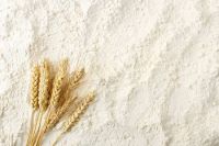 High quality and healthy gluten free buckwheat wheat flour