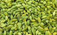 Quality Grade A Green Cardamom