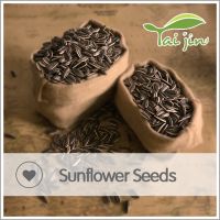 wholesale hulled sunflower seed 