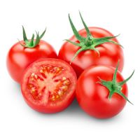Pure natural organic fresh tomato for sale 