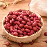New Crop Good Quality Red Skin Peanut Ground Nut Raw Shelled red skin Peanut 