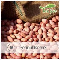 Competitive prices red skin peanuts 