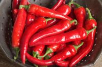 Thai Fresh Red Hot chili Pepper 