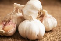 garlic in thailand/spanish red garlic new season/china garlic for sale 