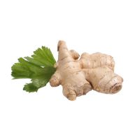 haccp certificated yellow ginger bulk supply in thailand 