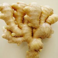 Organic fresh ginger peru/air dry ginger for sale 