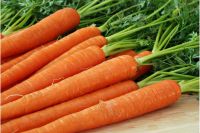 New Crop Organic Fresh Carrots From Thailand Premium Quality 