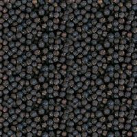 Cheap BLACK PEPPER 500G/L, 550G/L, 600G/L 