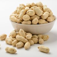 Raw Peanuts in shell 