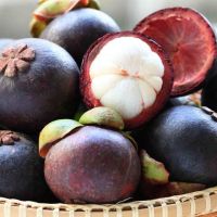 Premium Sweet Fresh Mangosteen Fruit In Thailand 