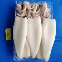factory wholesale squid tube & tentacle squid t+t Frozen squid T+T 