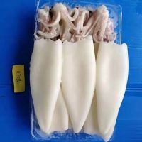 factory wholesale squid tube & tentacle squid t+t Frozen squid T+T