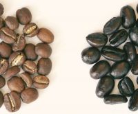 Best quality Roasted Robusta Coffee/Arabica Green Coffee Beans 