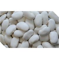 Premium Quality Butter Beans At Factory Price