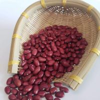 Premium quality white, Red kidney beans From Thailand