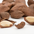 100% Pure Natural Peru High Quality Brazil Nuts Wholesale