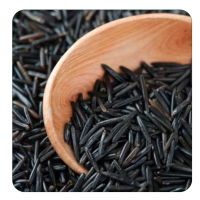 High Quality Organic BLACK RICE BEST PRICE