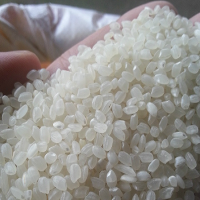Thai long grain white rice 100% Broken