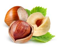 SGS Certified raw hazelnuts in shell