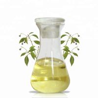 Camphor oil, Camphor Essential Oil, Camphor Extract used in Oil Painting