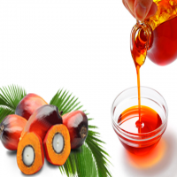 High Quality Crude Palm Oil 