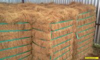 COCONUT FIBER WITH HIGH QUALITY AND LARGE QUANTITY FOR SALES