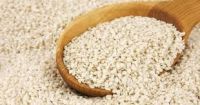 good quality natural white sesame seeds 