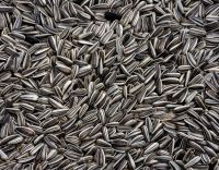 Buy types of sunflower seeds kernel/peeled sunflower seeds price hot sales