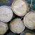 Wholesale Low Price Well straight eucalyptus round hard wood logs