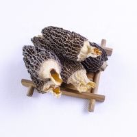 High Nutrition Wild Morel Dried Morel Mushrooms for Sale
