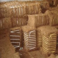 Coconut Fiber,coconut coir fiber,coconut husk fiber