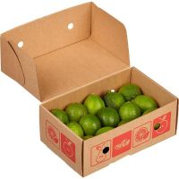 Fresh LEMON/LIME seedless Lime best price 2018