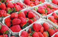 Fresh Strawberry , Strawberries , Red berries