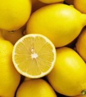 FRESH LEMON BEST PRICE