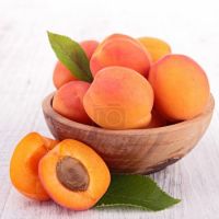 Cheap Fresh Apricots , Wholesale Fresh Apricots , Bulk Fresh Apricots