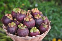 High Quality Thai Fresh Fruit Mangosteen