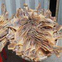 Best quality dried octopus, dried squid from Thailand