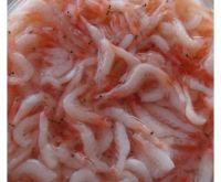 Crustaceans Frozen Raw Peeled Deveined Shrimp