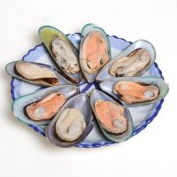 Certified seafood shellfish frozen half shell mussel