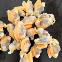 IQF frozen shellfish clam without shell from Chinese seafood supplier