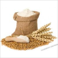 wheat flour for sale in bulk / Style 1kg 20kg wheat powder batter mix 