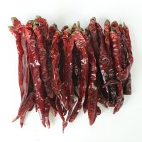 Dried Hot Red Chili Pepper 