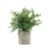 Bamboo Leaves Plastic Green Plant Mini Artificial Potted for Home Decor