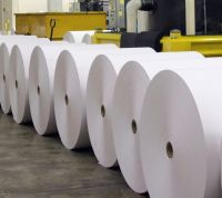 White Base Paper Filter Smoking Rolling Paper Kraft Paper Jumbo Roll 
