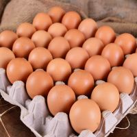 Fresh Table Chicken Eggs ( Brown and White) 
